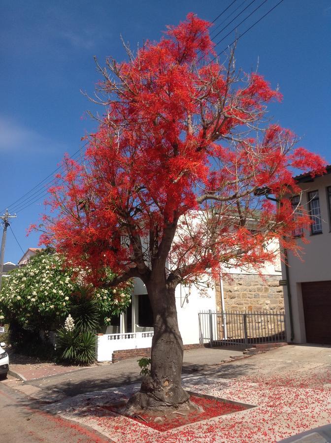 Park House Lodge Mossel Bay Zewnętrze zdjęcie